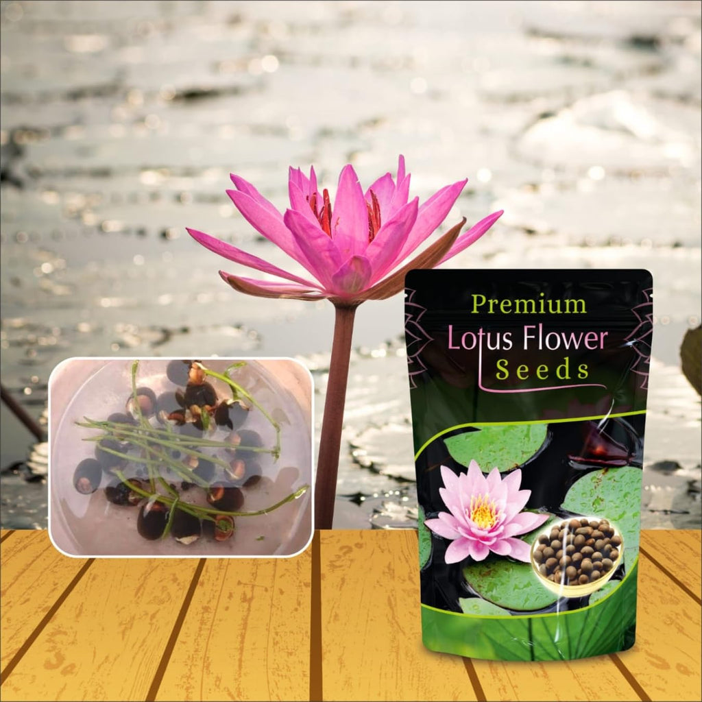 8902