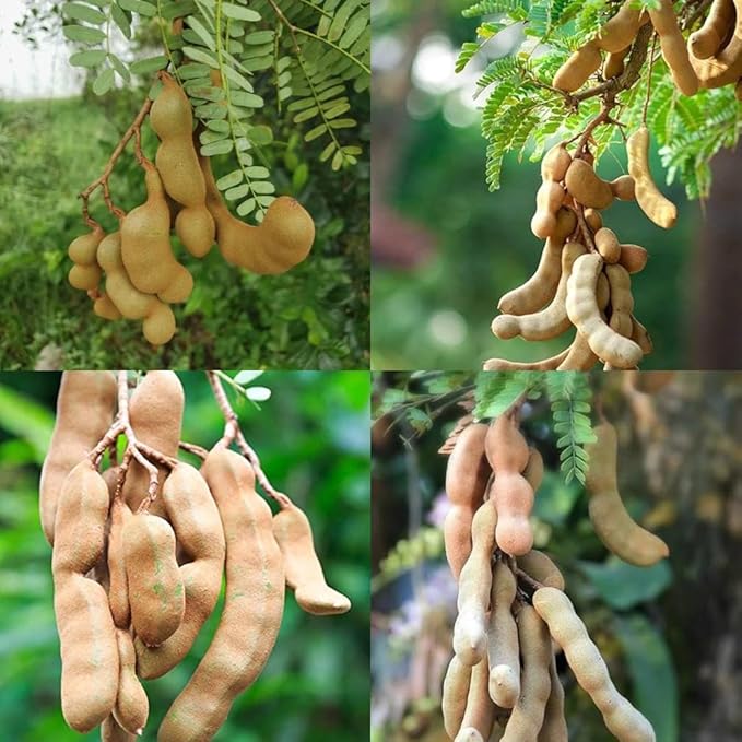 8978