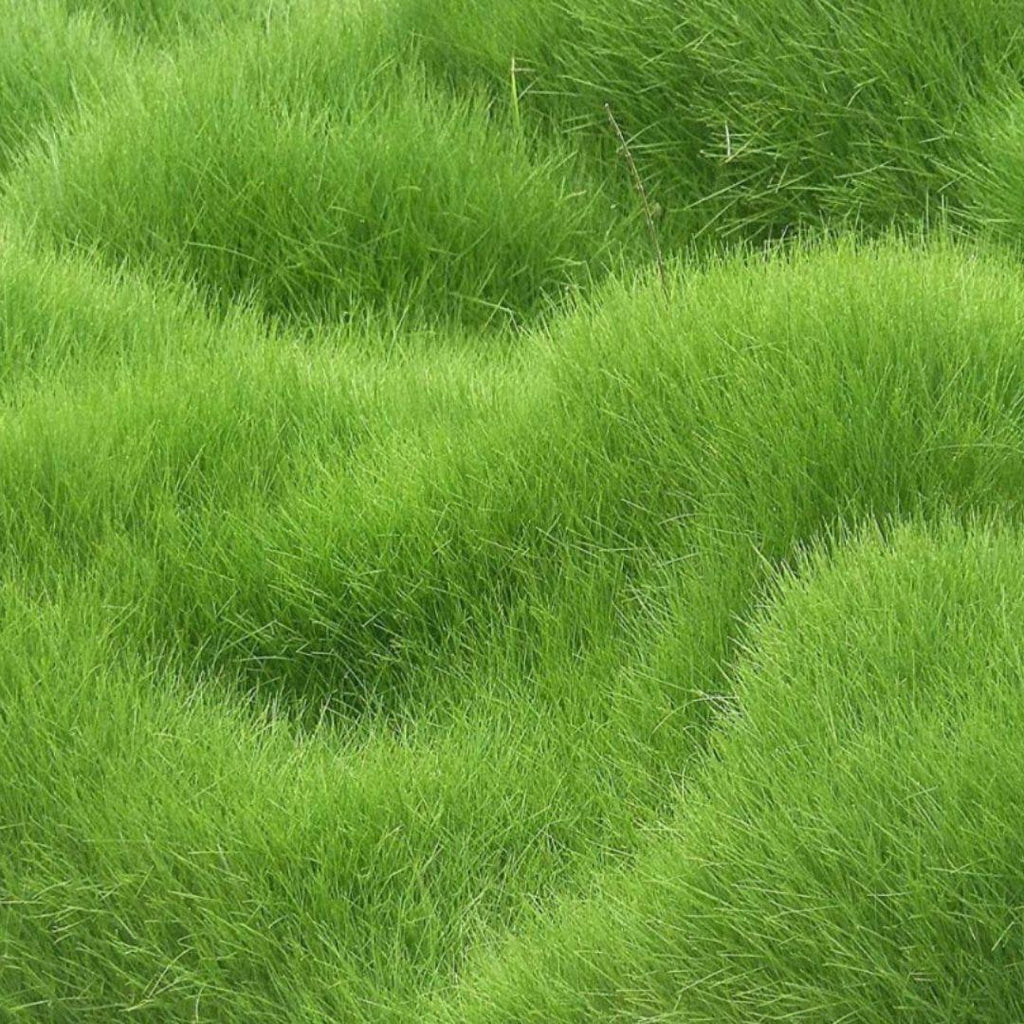 4079
