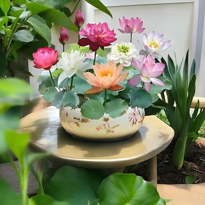 5833