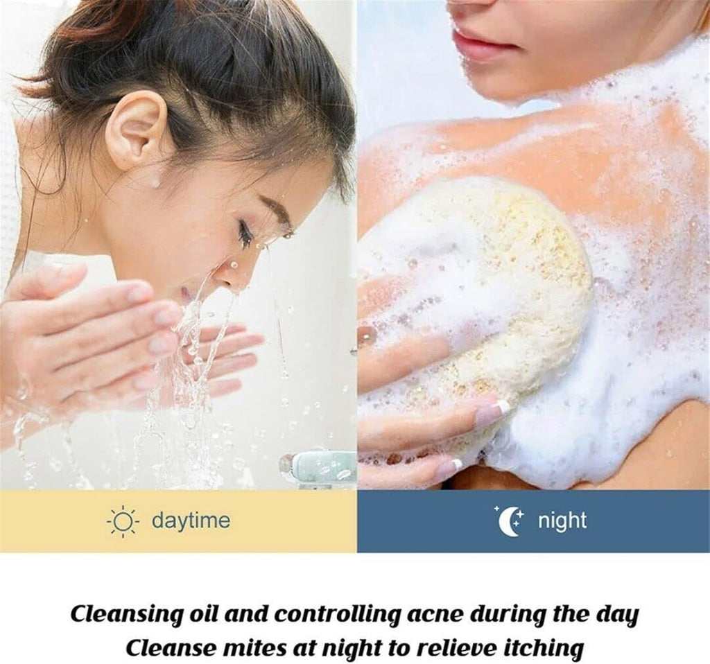 4629