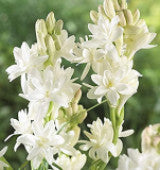 6728